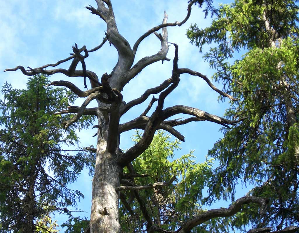 Seitsemisen seutu - Kylät - Pirkanmaa - Kylään.fi - Kylämatkailun tietopankki