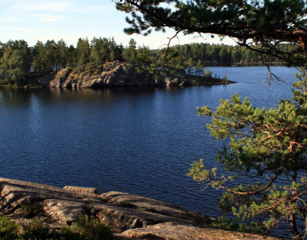 Syvänniemi - Kuopio - Kylät - Pohjois-Savo - Kylään.fi - Kylämatkailun tietopankki