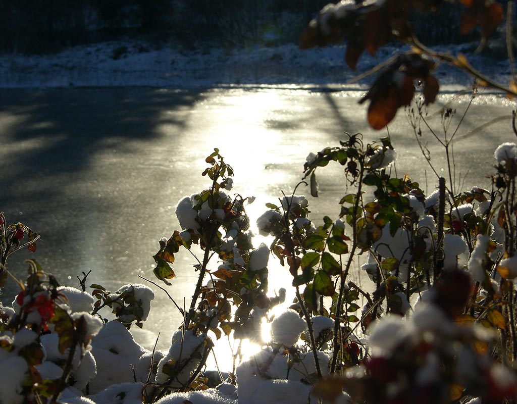 Saarela - Pielavesi - Kylät - Pohjois-Savo - Kylään.fi - Kylämatkailun tietopankki