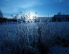 Eräjärvi - Orivesi