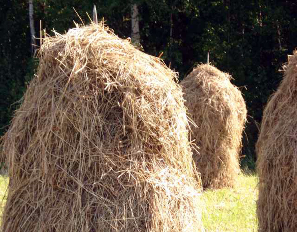 Rasimäki - Valtimo - Kylät - Pohjois-Karjala - Kylään.fi - Kylämatkailun tietopankki