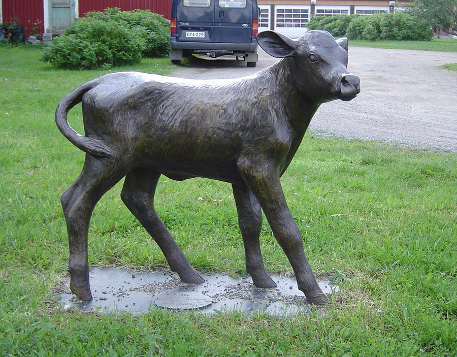 Lapinlahti - Kylät - Pohjois-Savo - Kylään.fi - Kylämatkailun tietopankki