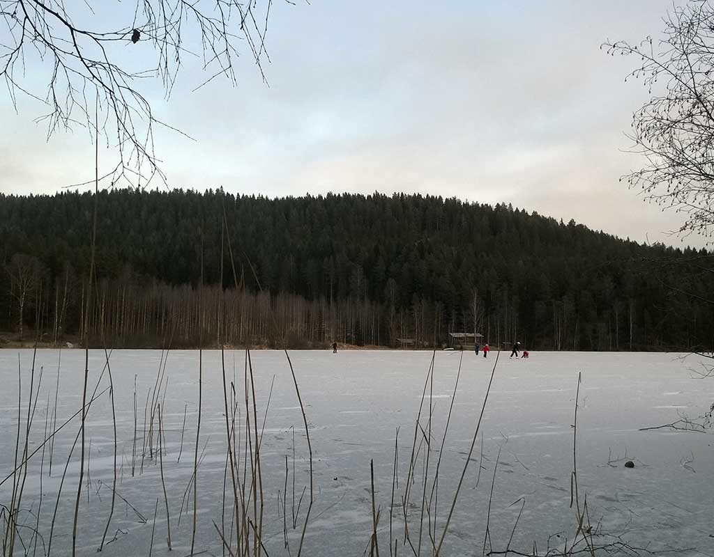 Hiltulanlahti - Kuopio - Kylät - Pohjois-Savo - Kylään.fi - Kylämatkailun tietopankki