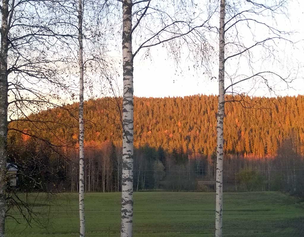 Hiltulanlahti - Kuopio - Kylät - Pohjois-Savo - Kylään.fi - Kylämatkailun tietopankki