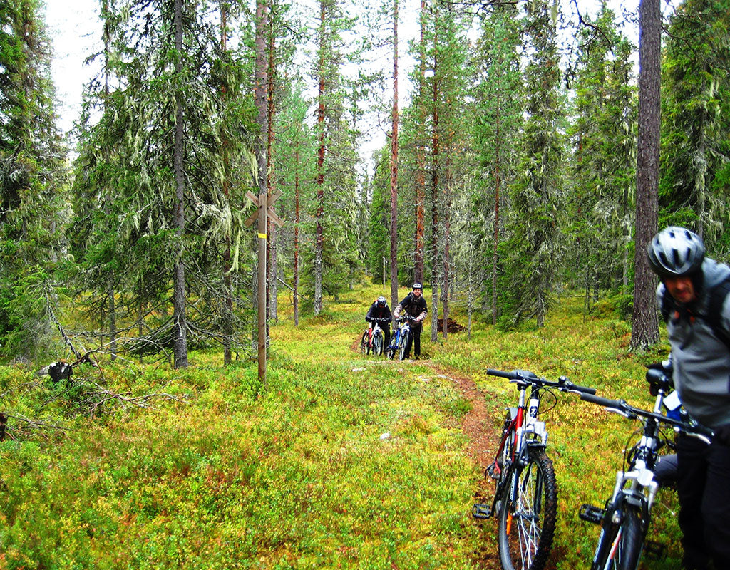 Saijan Lomakartano - Taivalkoski - Majoitus - Lappi - Kylään.fi - Kylämatkailun tietopankki