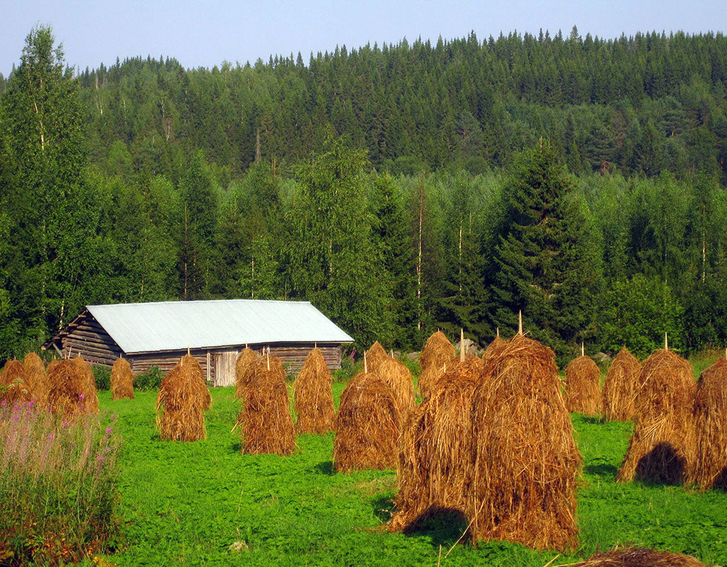 Majatalo Puukarin Pysäkki - Valtimo - Majoitus - Pohjois-Karjala - Kylään.fi - Kylämatkailun tietopankki