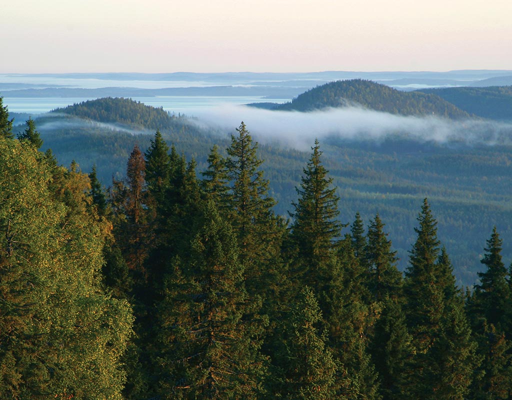 Koli - Lieksa - Kylät - Pohjois-Karjala - Kylään.fi - Kylämatkailun tietopankki
