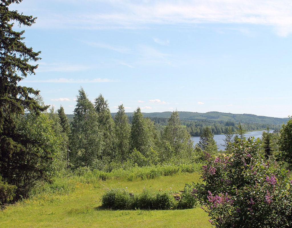Majatalo Puukarin Pysäkki - Valtimo - Majoitus - Pohjois-Karjala - Kylään.fi - Kylämatkailun tietopankki