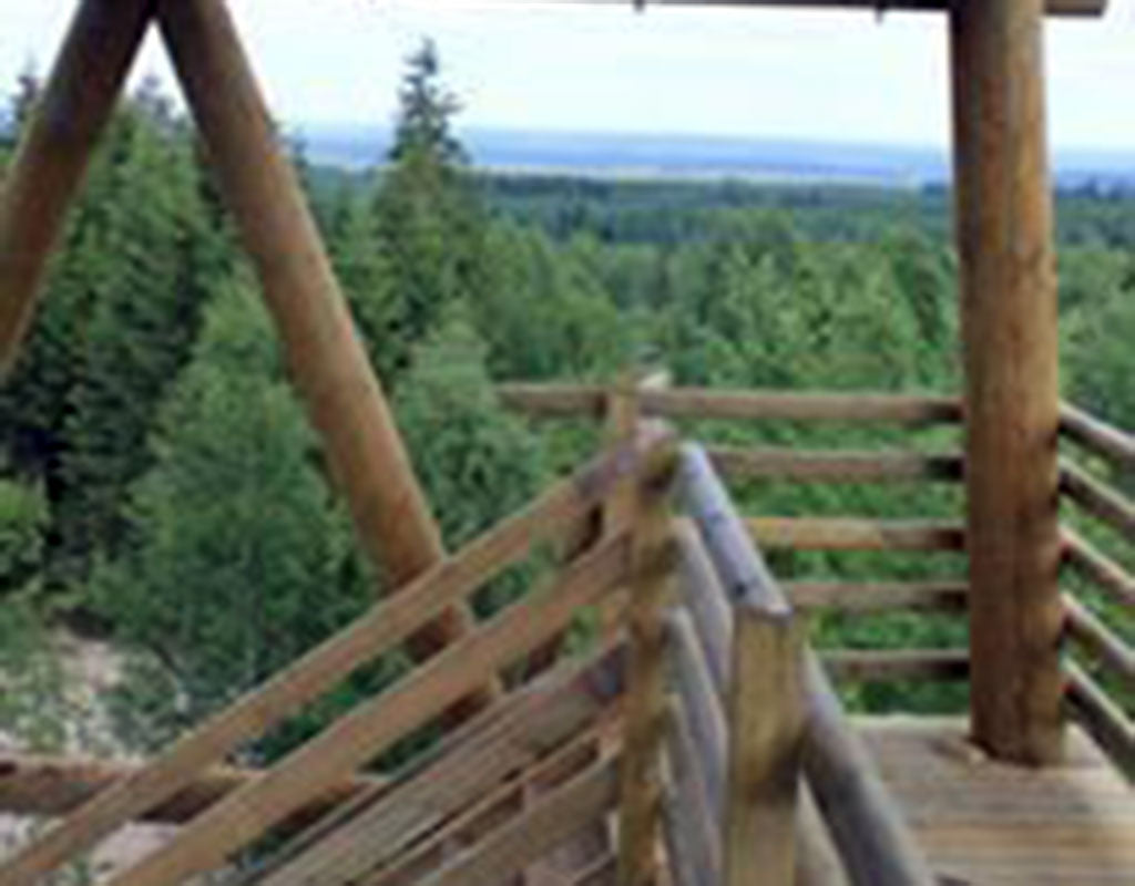 Kotaharjun näköalatorni ja retkeilyalue - Sonkajärvi - Nähtävyydet & Käyntikohteet - Pohjois-Savo - Kylään.fi - Kylämatkailun tietopankki