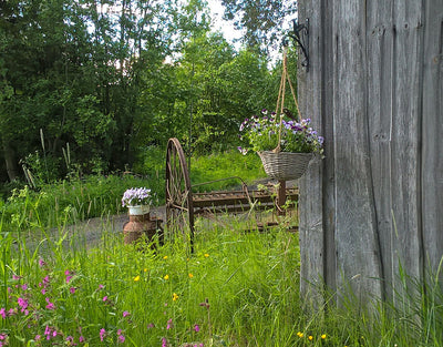Harjurannan Kyläyhdistys - Varkaus - Kylät - Pohjois-Savo - Kylään.fi - Kylämatkailun tietopankki