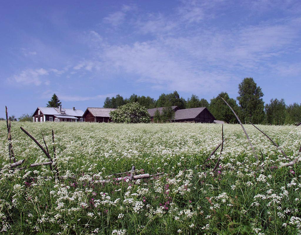 Hattuvaara - Ilomantsi - Kylät - Pohjois-Karjala - Kylään.fi - Kylämatkailun tietopankki