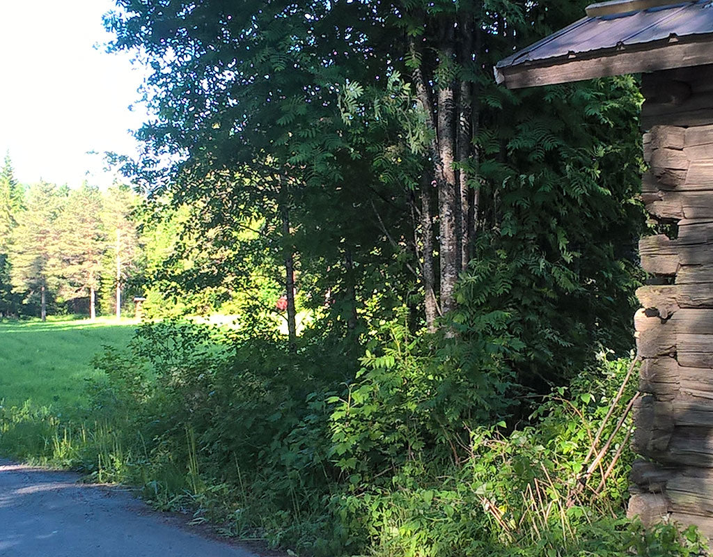 Harjurannan Kyläyhdistys - Varkaus - Kylät - Pohjois-Savo - Kylään.fi - Kylämatkailun tietopankki