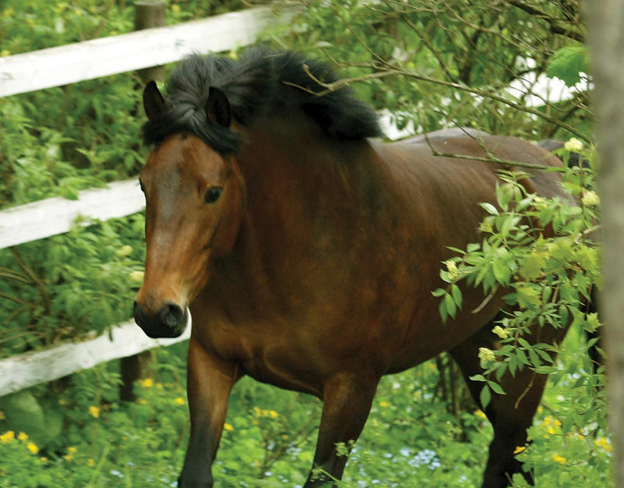 Ypäjä - Kylät - Kylään.fi - Kylämatkailun tietopankki - Kylään.fi - Kylämatkailun tietopankki