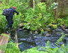 Harjurannan Kyläyhdistys - Varkaus - Kylät - Pohjois-Savo - Kylään.fi - Kylämatkailun tietopankki