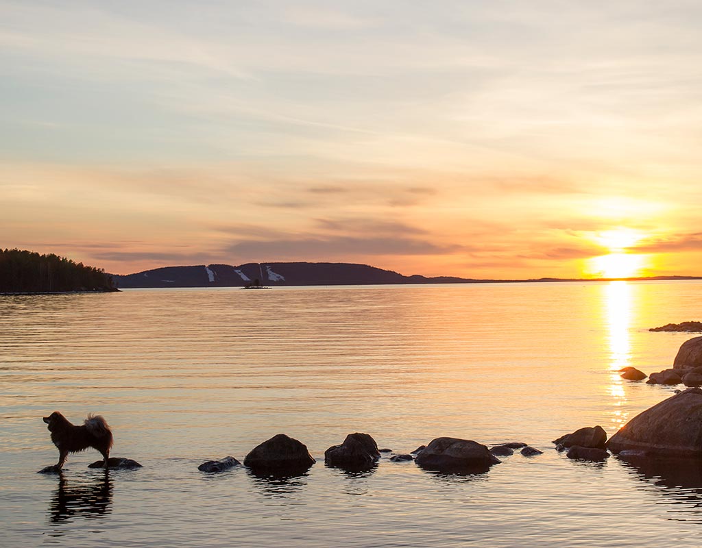 Kestikievari Herranniemi - Vuonislahti - Majoitus - Pohjois-Karjala - Kylään.fi - Kylämatkailun tietopankki