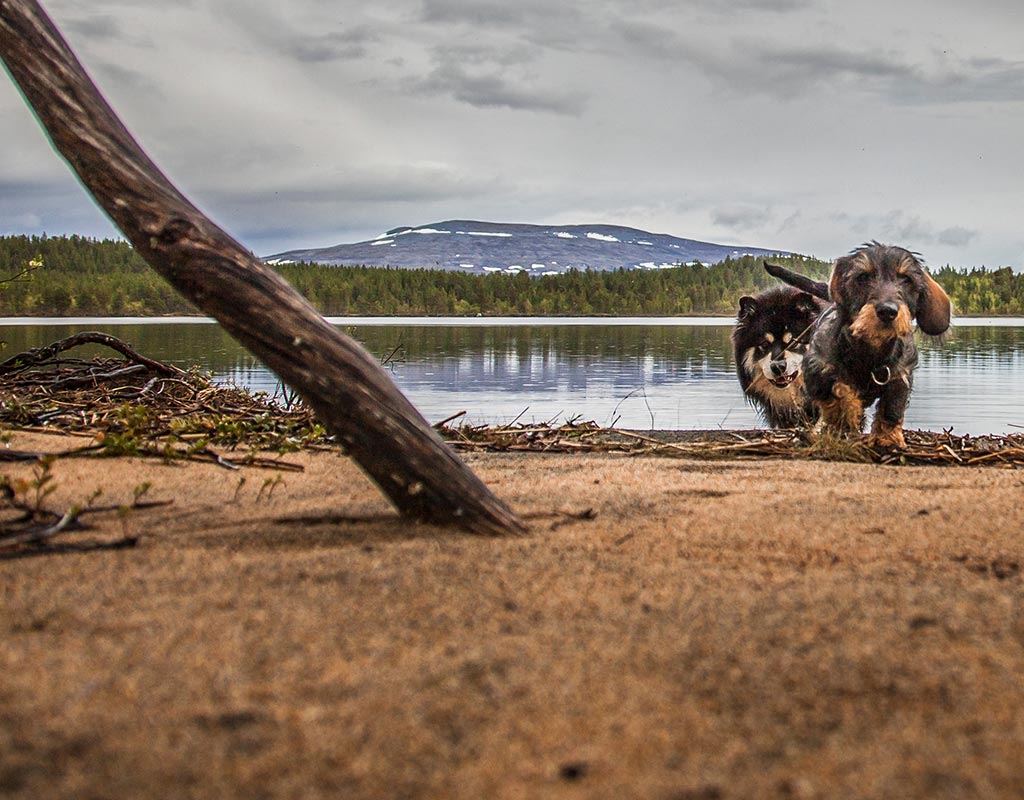 Tervo - Kylät - Pohjois-Savo - Kylään.fi - Kylämatkailun tietopankki