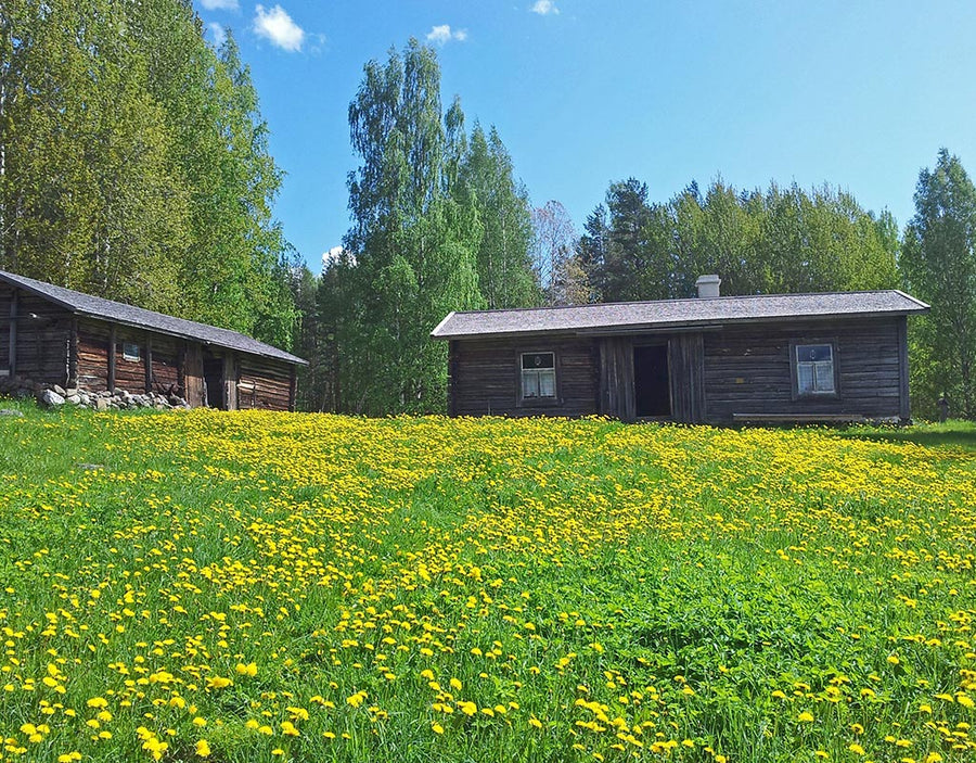 Niinisaari - Puumala - Kylät - Etelä-Savo - Kylään.fi - Kylämatkailun tietopankki